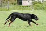 BEAUCERON 836